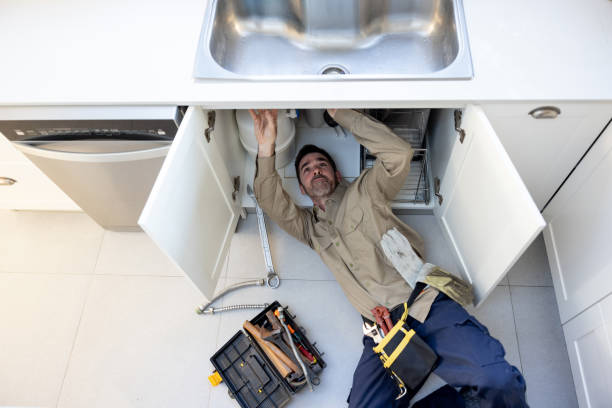 Best Plumbing Services Near Me  in Elmwood, IL
