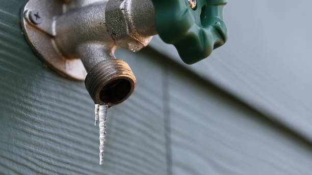 Best Boilers & Radiators  in Elmwood, IL